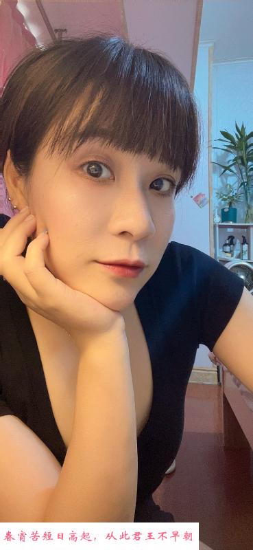 杭州下沙小猫 第1张