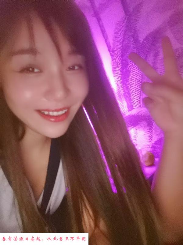 禅城服务型圆圆 第1张