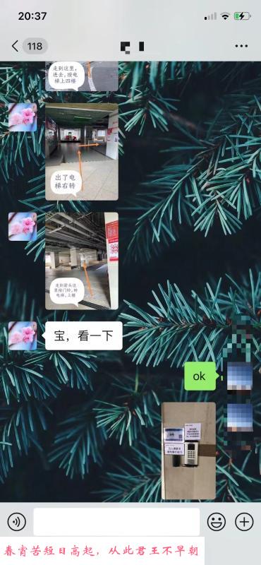 市二宫可可 第3张