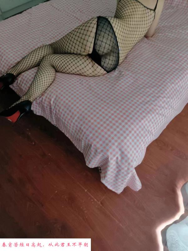 油坊桥东北少妇 第1张