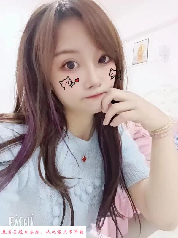 汕头青皮树 第1张