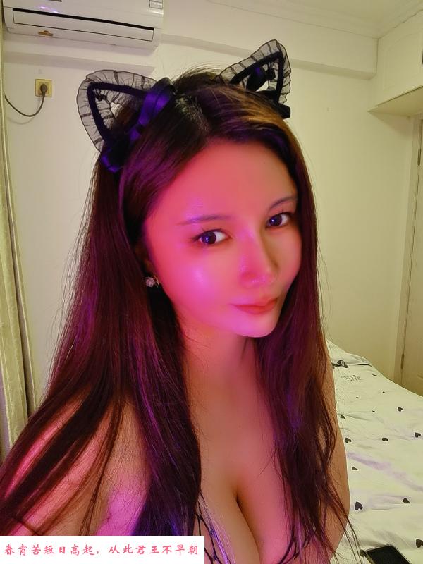 性感小妖精 第1张