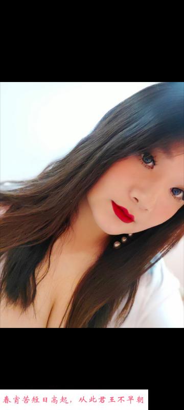 杨家湾熊熊 第1张