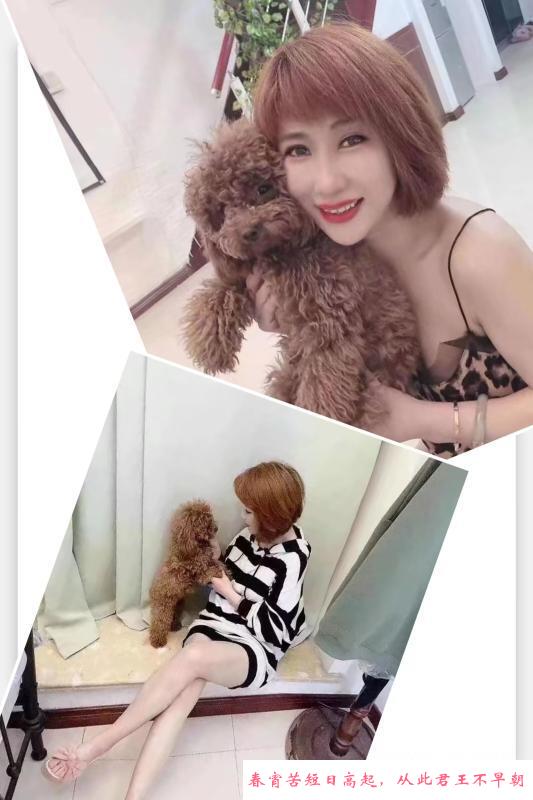 台东三通少妇回归 第1张