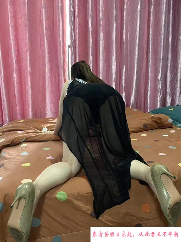蜀山熟女服务系 第1张