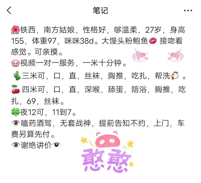 铁西大奶妹 第1张